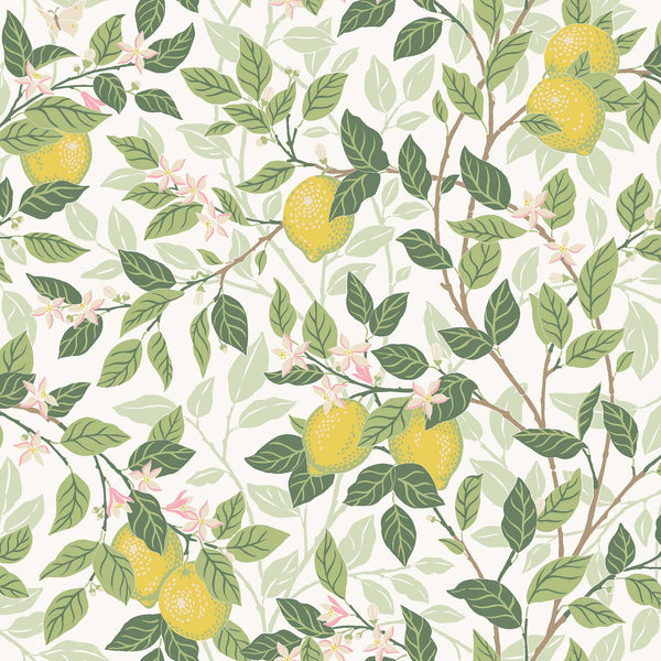 Papel Tapiz Lemon Tree - Tienda Interni