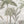 Papel Tapiz Vintage Palms - Tienda Interni