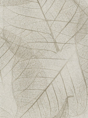 Papel Tapiz Leaves - Tienda Interni